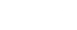 10X — White preview