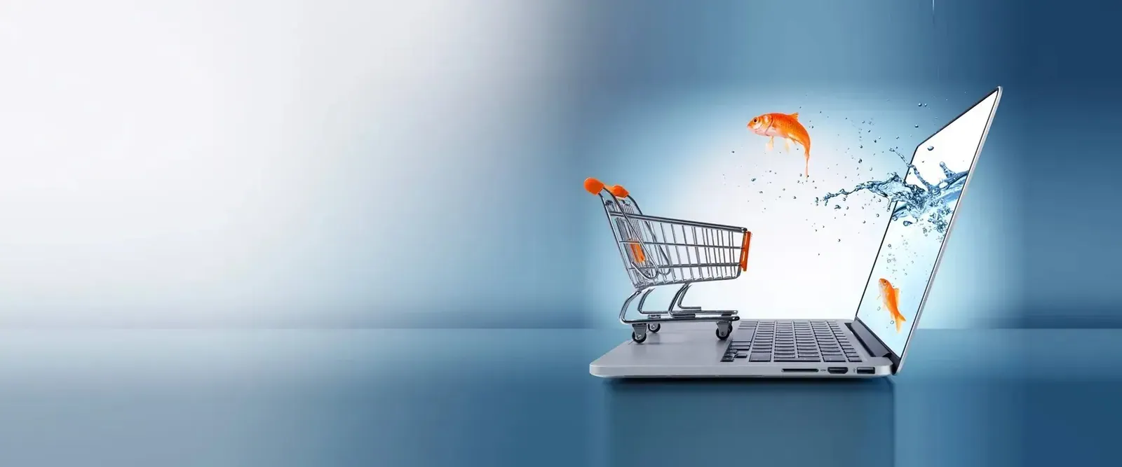 ecommerce